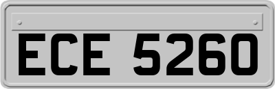ECE5260