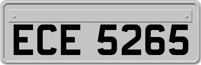 ECE5265
