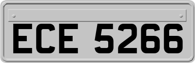 ECE5266