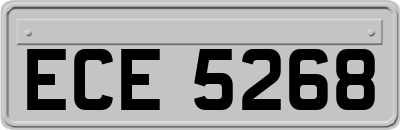ECE5268