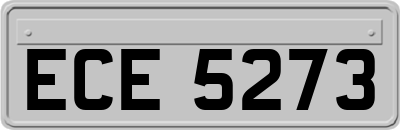 ECE5273