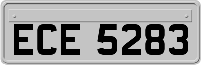 ECE5283