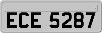 ECE5287