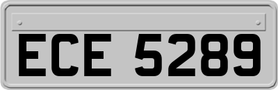 ECE5289