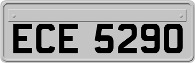 ECE5290