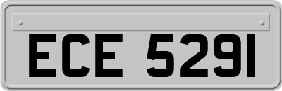 ECE5291