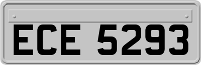 ECE5293