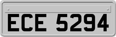 ECE5294