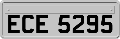 ECE5295