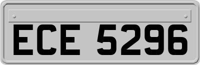 ECE5296