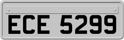 ECE5299