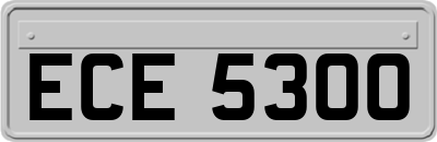 ECE5300
