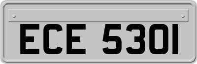 ECE5301