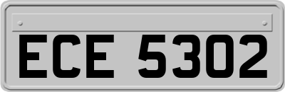 ECE5302