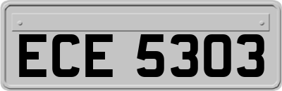 ECE5303