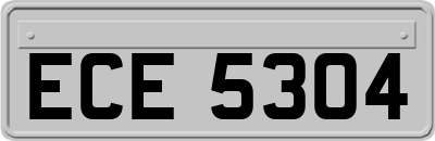 ECE5304