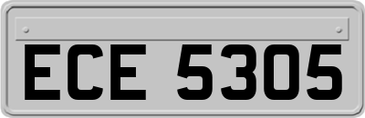 ECE5305