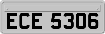 ECE5306