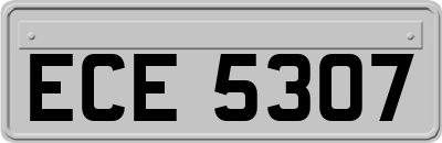 ECE5307