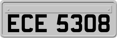 ECE5308