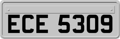 ECE5309