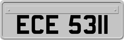 ECE5311