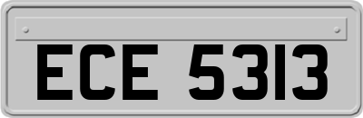 ECE5313