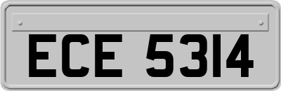 ECE5314