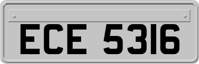 ECE5316