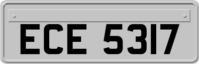 ECE5317
