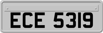 ECE5319
