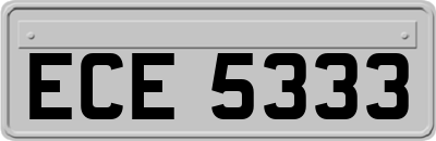 ECE5333