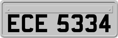 ECE5334
