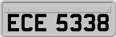 ECE5338