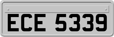 ECE5339