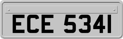 ECE5341