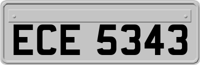 ECE5343