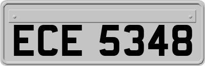 ECE5348