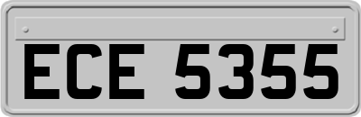 ECE5355