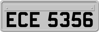 ECE5356