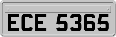 ECE5365