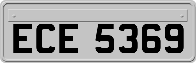 ECE5369