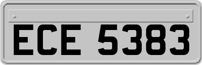 ECE5383