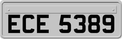 ECE5389