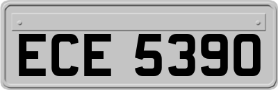ECE5390