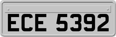 ECE5392