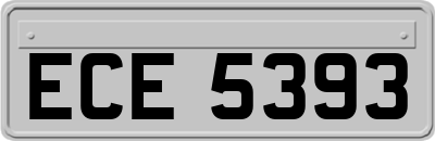 ECE5393