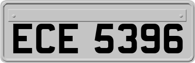 ECE5396