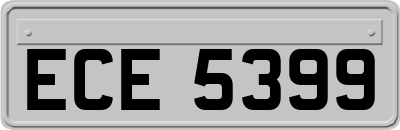ECE5399