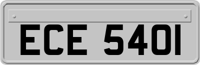 ECE5401